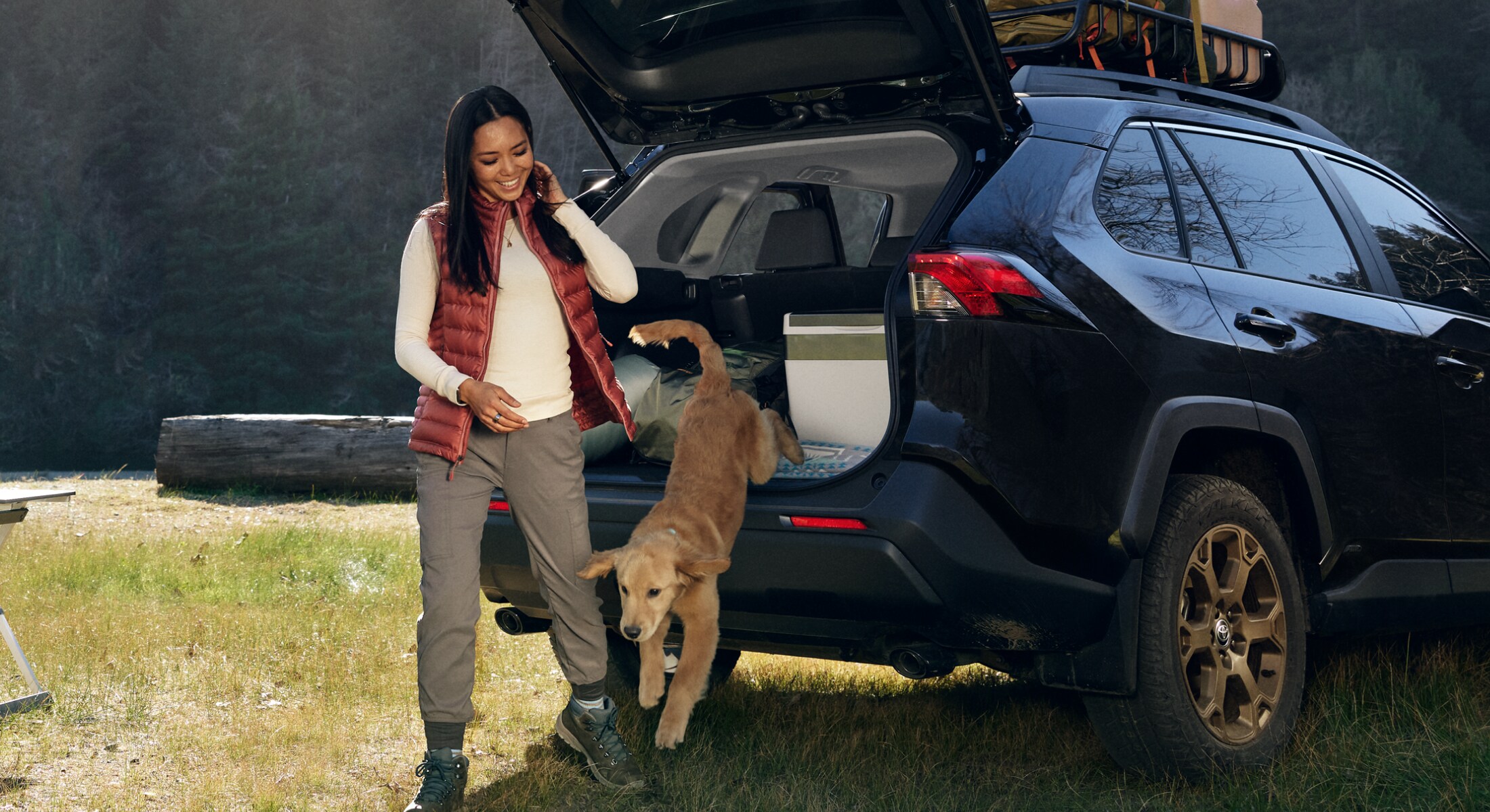image_protectyourpet_toyotaautoinsurance_2023_07_26.png