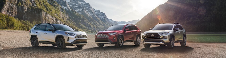 New 2019 Toyota Rav4 lineup in Batavia NY.jpeg