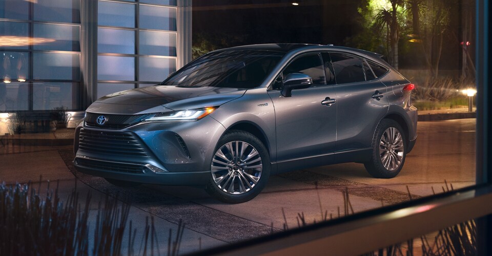 Venza-Hero-img.jpg