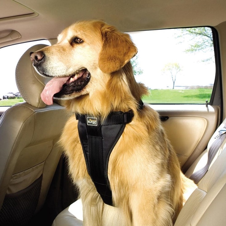 pet safety in new Toyota new Toyota pet safety