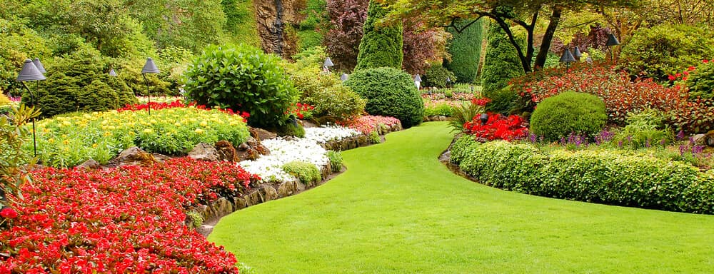 Central Park.jpg