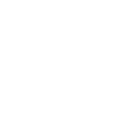 syc-img-terms.webp