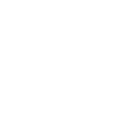 syc-img-features.webp