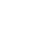 syc-img-above.webp