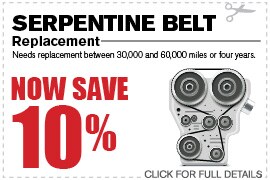 Serpentine Belt