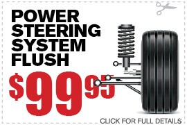 Fuel Injection Flush