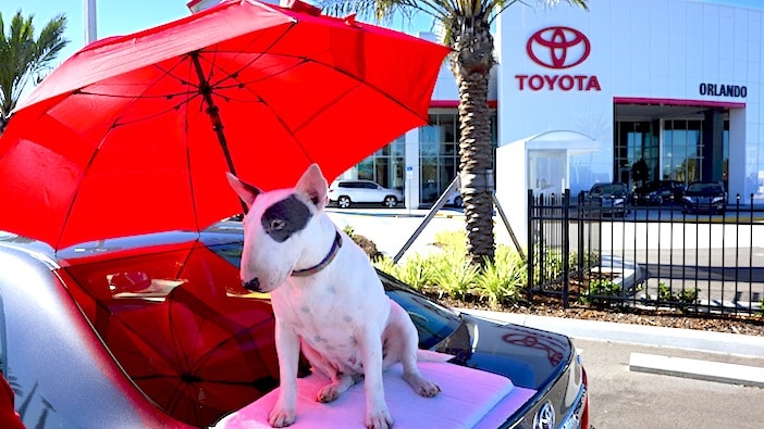 Toyota in Central Florida New Toyota in Orlando