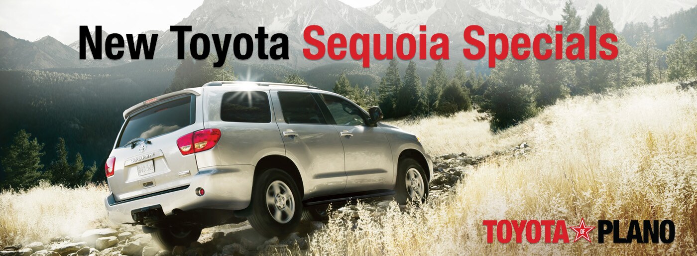 sequoia.jpg