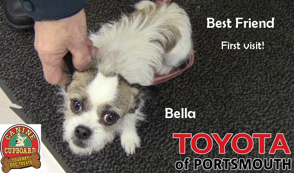 Bella First Visit.png