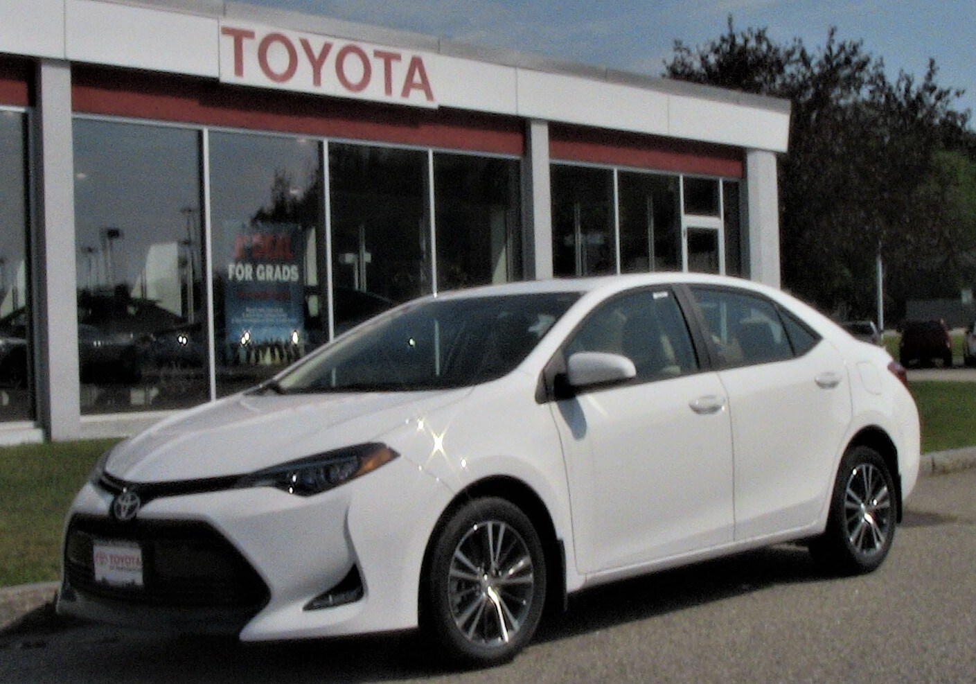 White Corolla.jpg