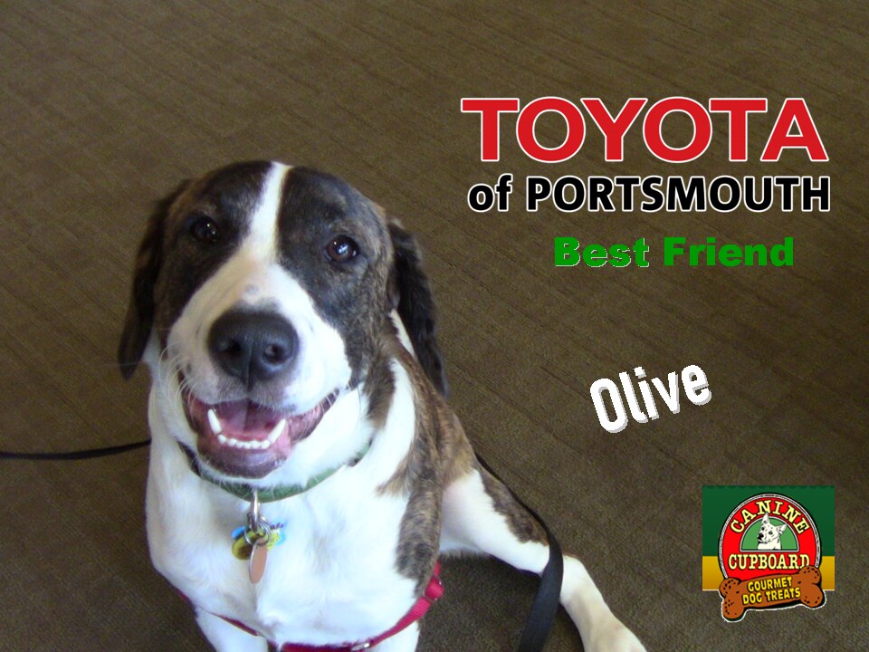 Olive Rescue 1st Visit.png