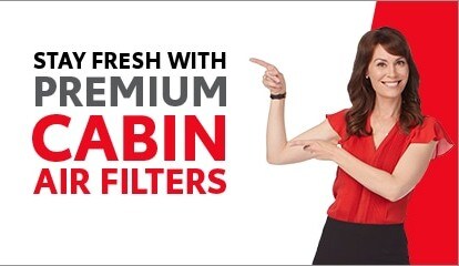 Cabin Air Filters.JPG