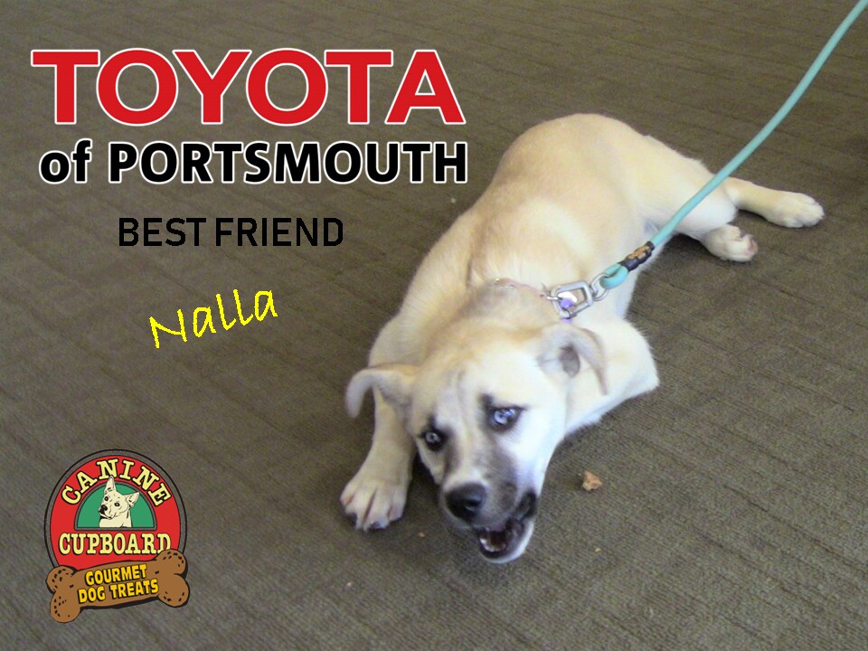 Nalla inspection trets.png