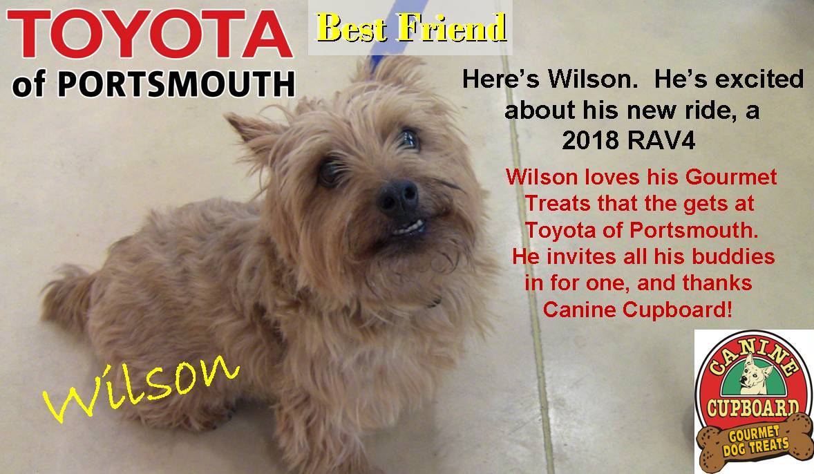 Wilson.jpg