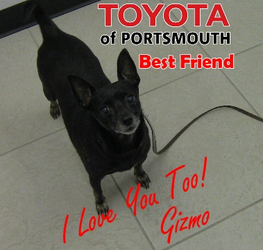 Gizmo post.png