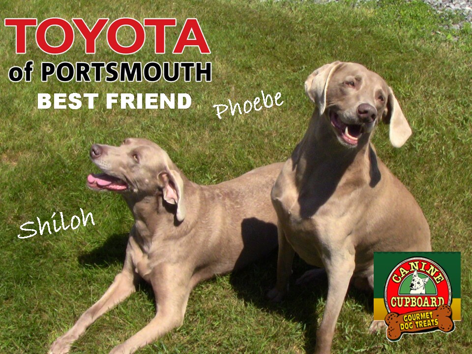Shiloh - Phoebe.png