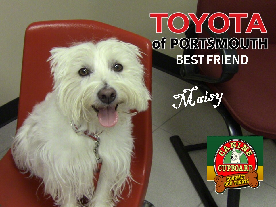 Maisy.png