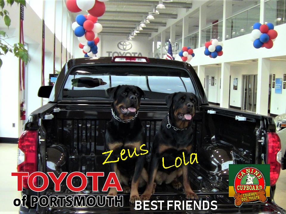 Zeus and Lola.jpg