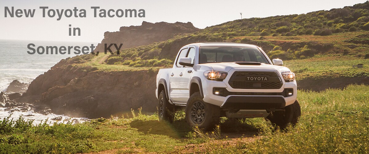 New Toyota Tacoma for sale in somerset ky.jpg