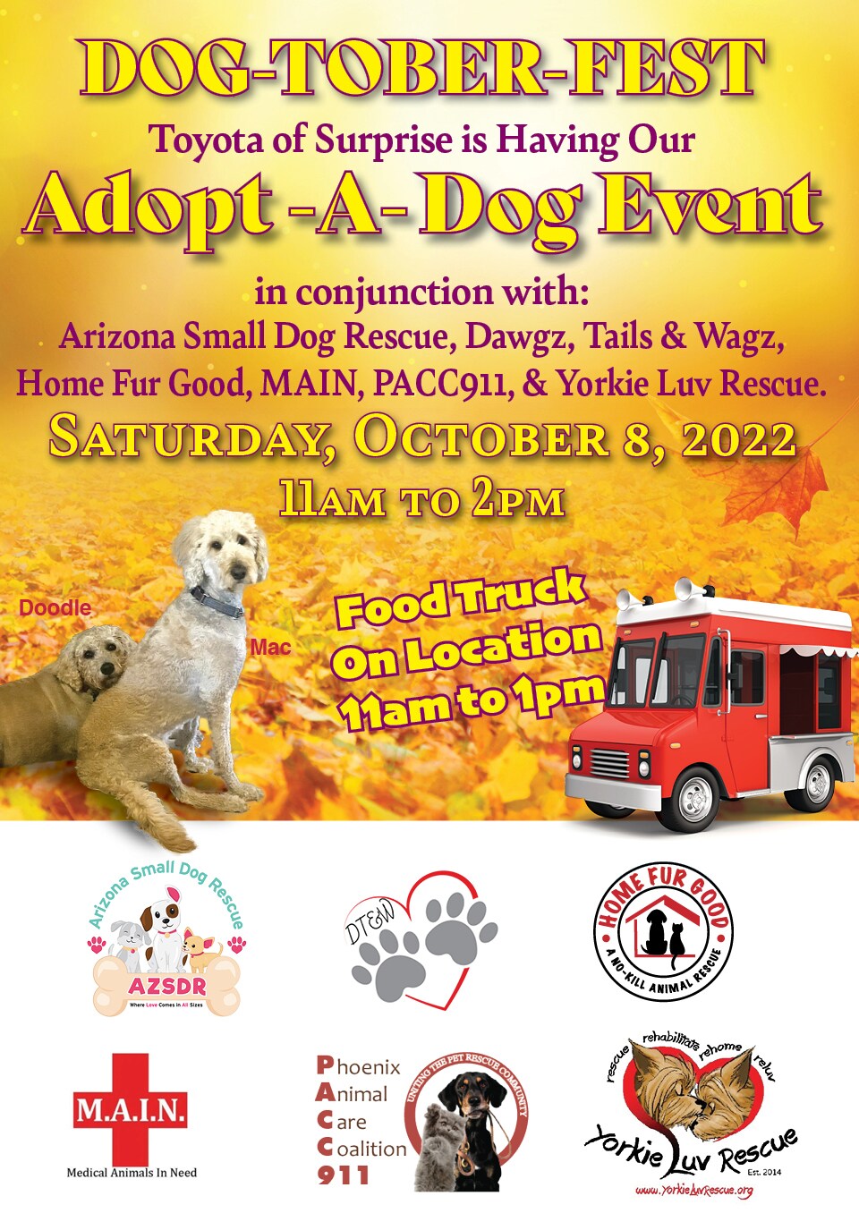 TOS-DogAdoptionLP-9-26.jpg