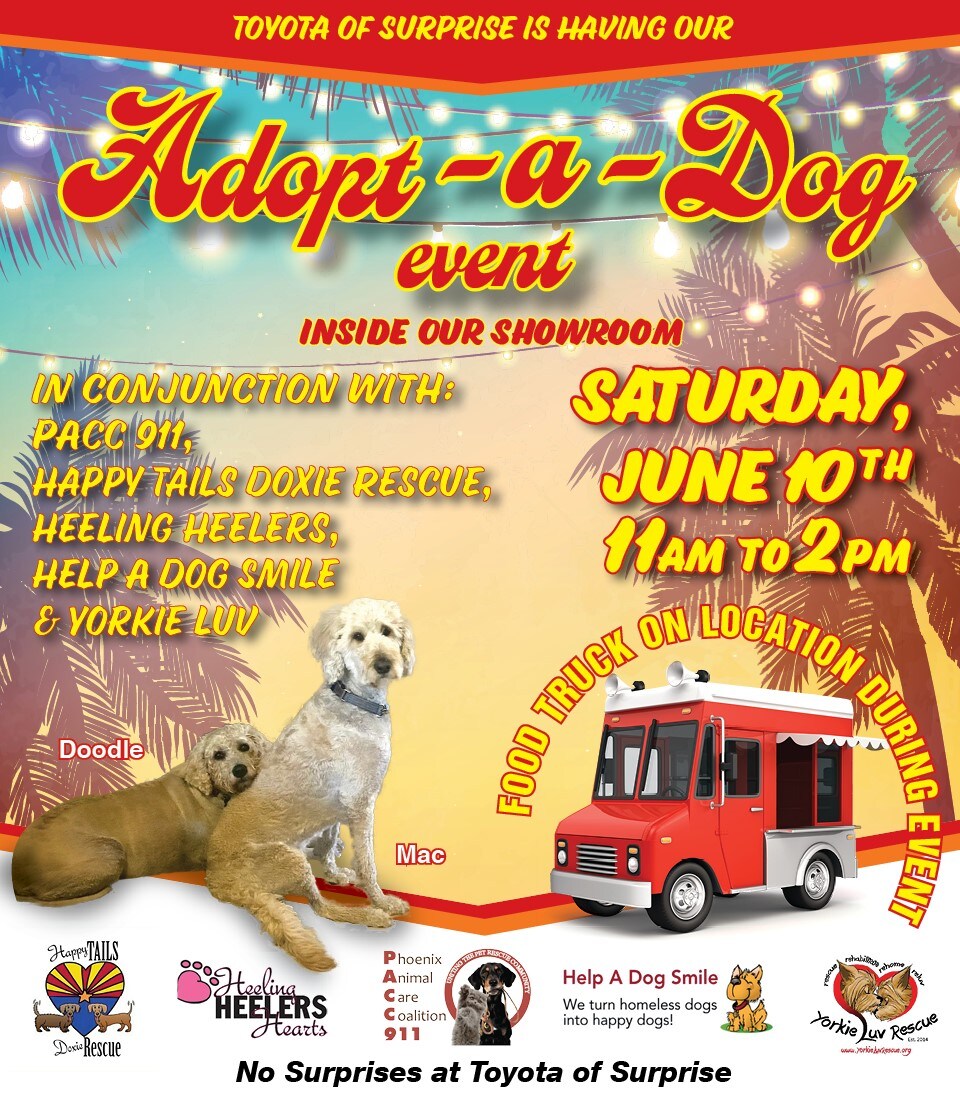 TOS-DogAdoptionLP-Feb-25.jpg