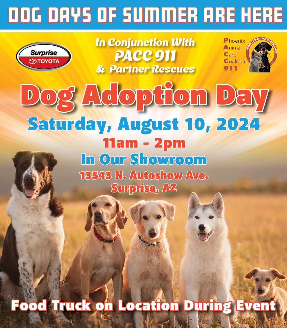TOS-DogAdoptionLPAug-7-26-.jpg