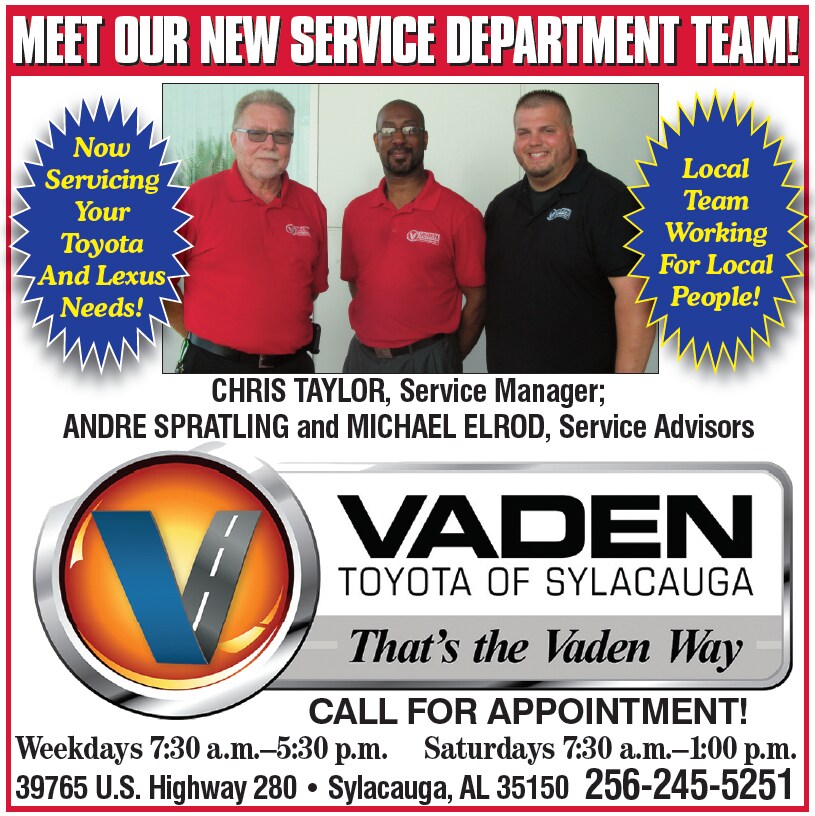 VTS Service.PNG