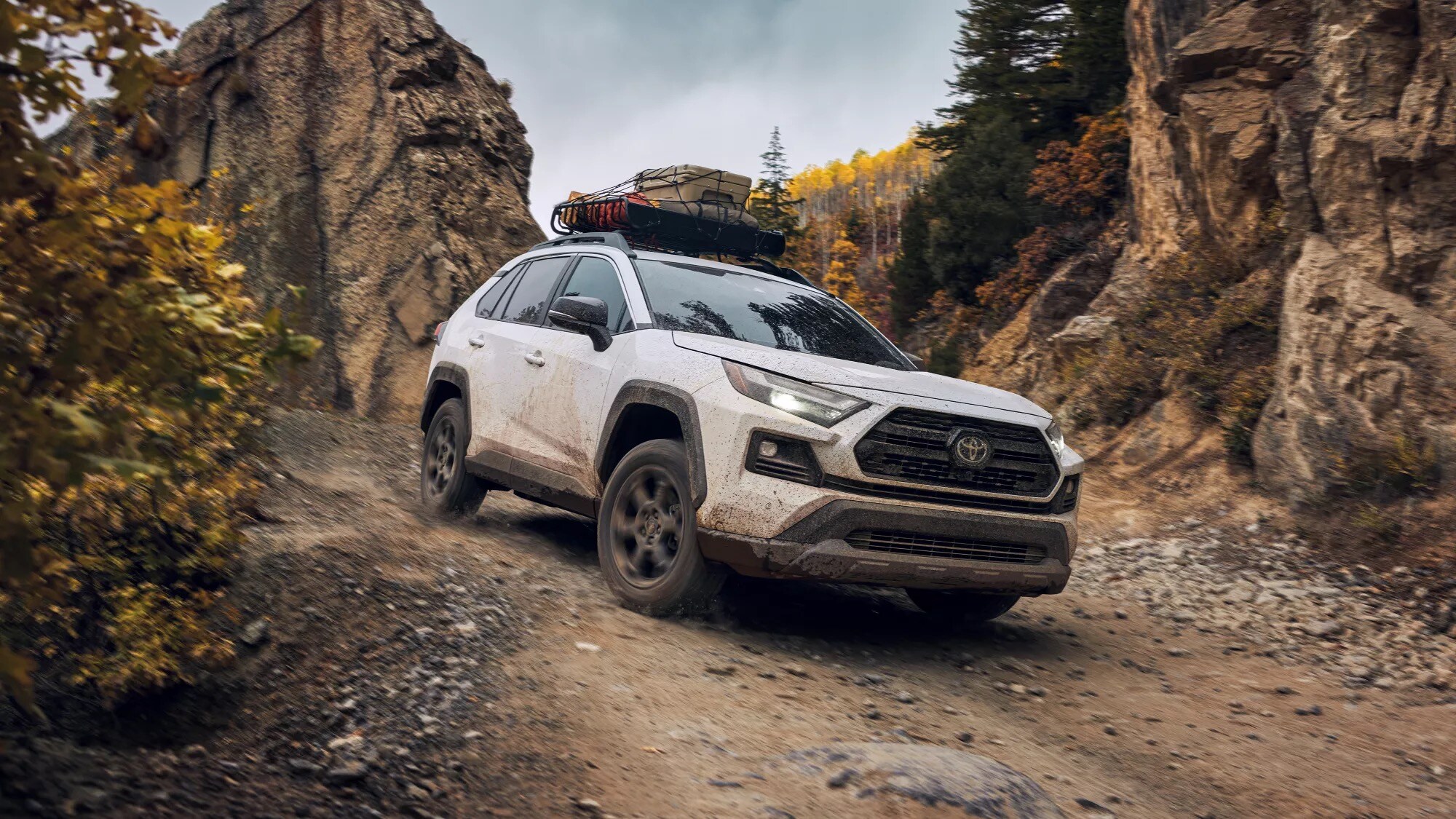 2022 Toyota RAV4 in Raleigh