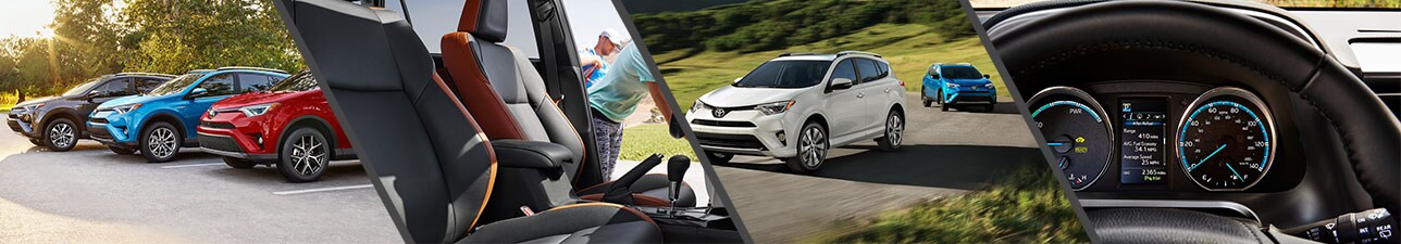 New 2017 Toyota RAV4 for Sale | Raleigh NC