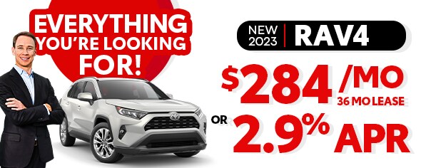 TSA 5212-23 ART - Everything You're Looking For - 590x236 RAV4.jpg
