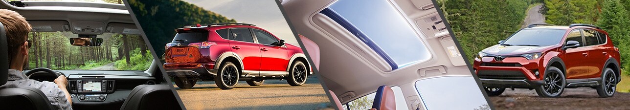 New 2018 Toyota RAV4 for Sale Sanford NC