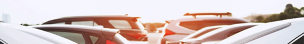 banner (2).jpg
