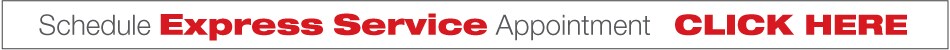 Schedule-Express-Service-Button.jpg