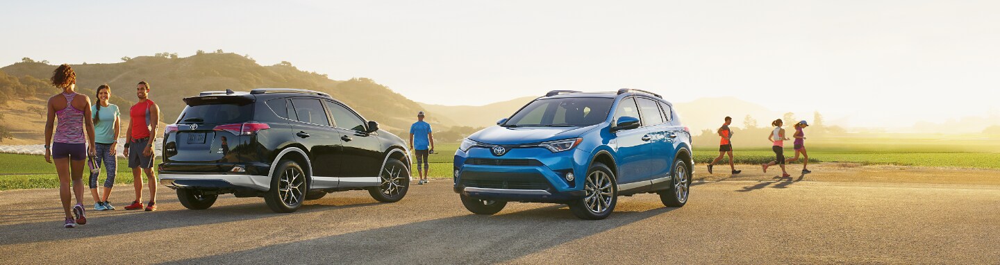 RAV4-Chicago.png