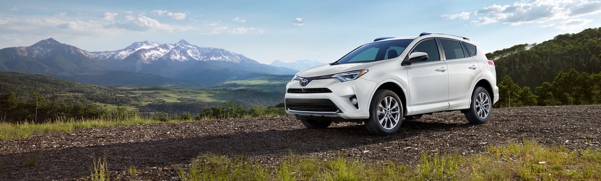 RAV4 Banner.jpeg