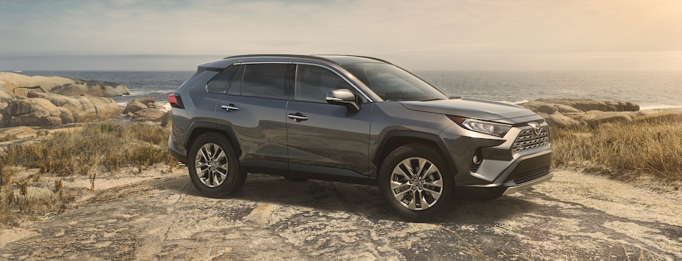 2019 Toyota RAV4 Limited SUV 2019 Toyota RAV4 Limited SUV