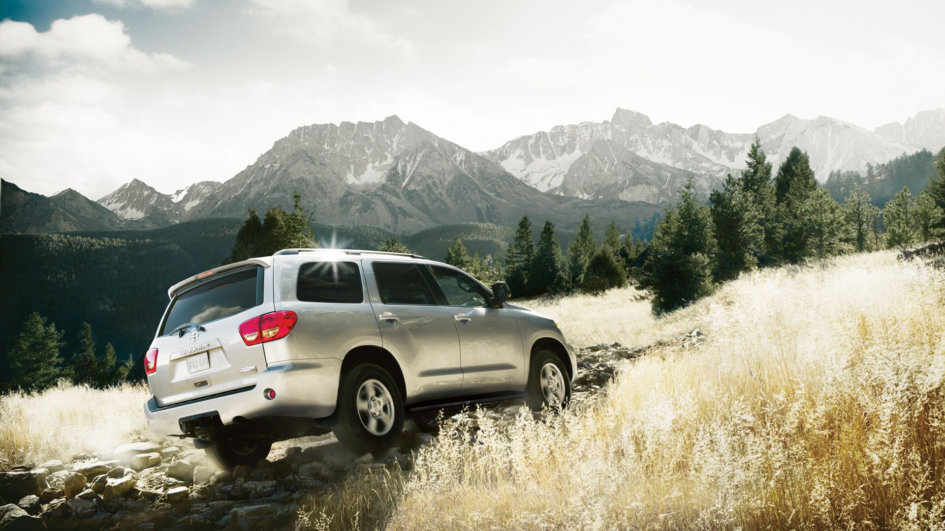 Sequoia SR5.jpg