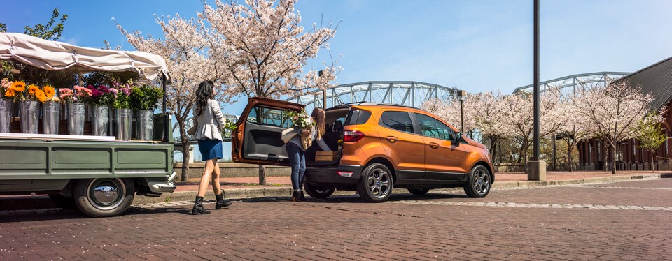 2018 Ford Ecosport SES