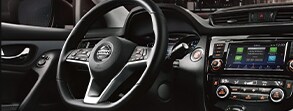 interiorroguesport.png