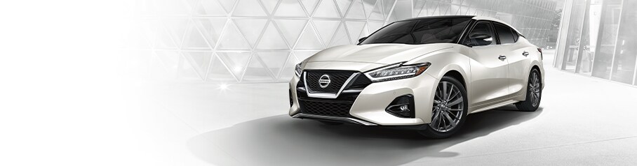 maxima-header.png