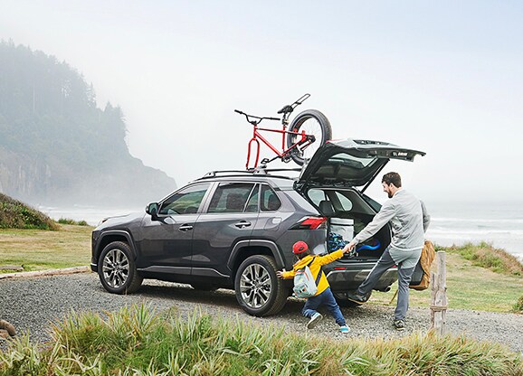 rav4.jpg