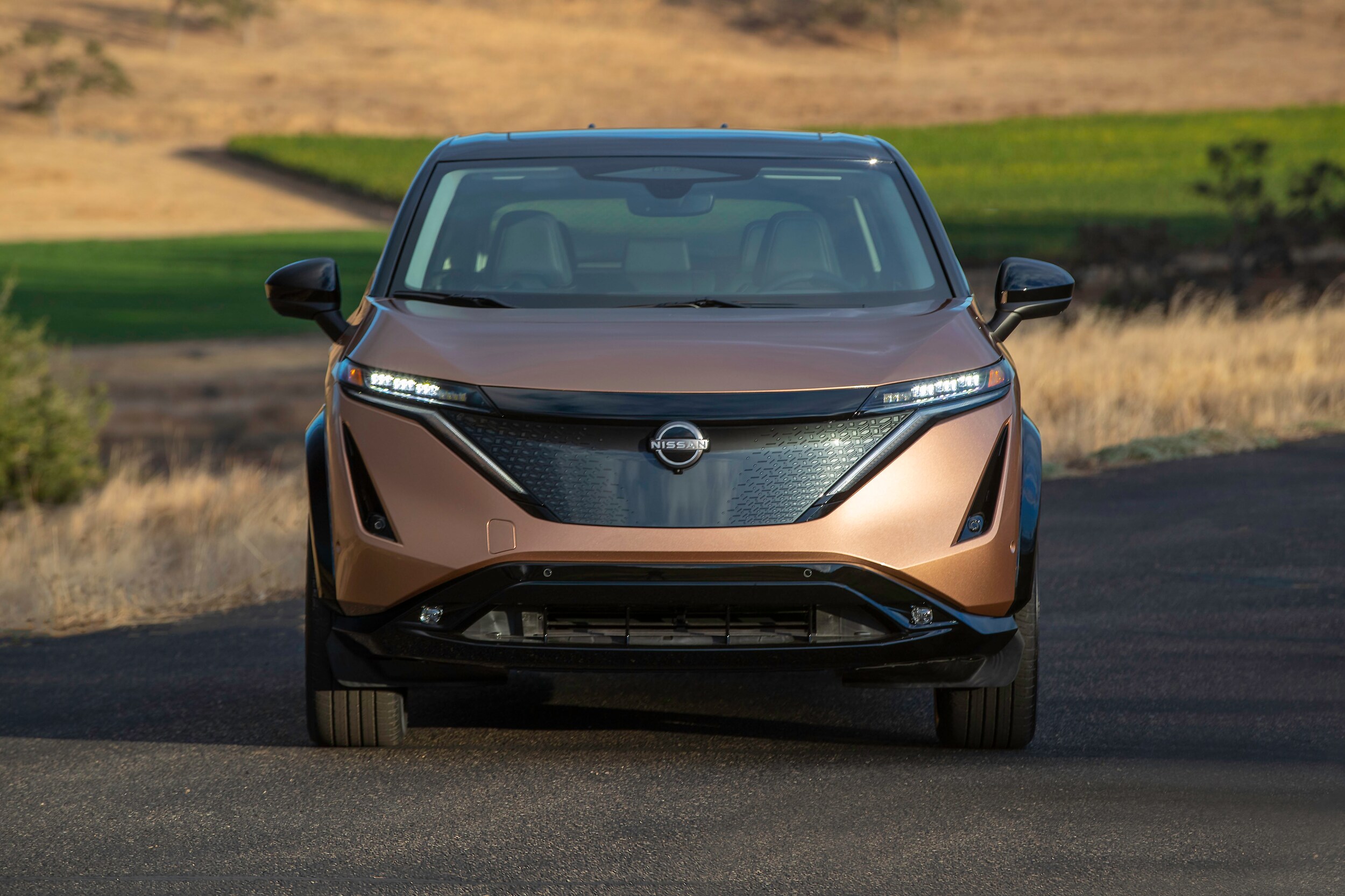 Nissan_Ariya_019.jpg