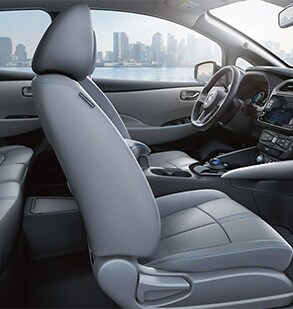 leaf-interior.png