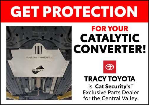 TT 503x356 CatSecurity-01.jpg