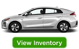17ioniq_viewinv.jpg