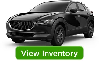 20cx-30_viewinv.jpg