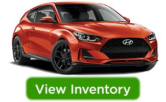 19veloster_viewinv.jpg