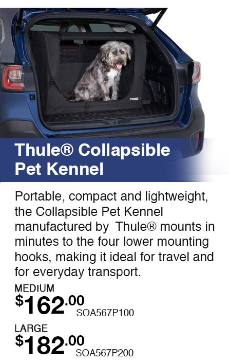 newkennel.jpg