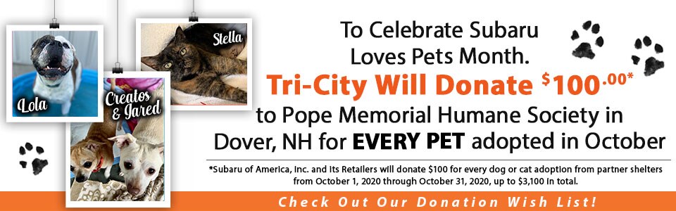 TCS_PetAdoption_960x300_100120.jpg