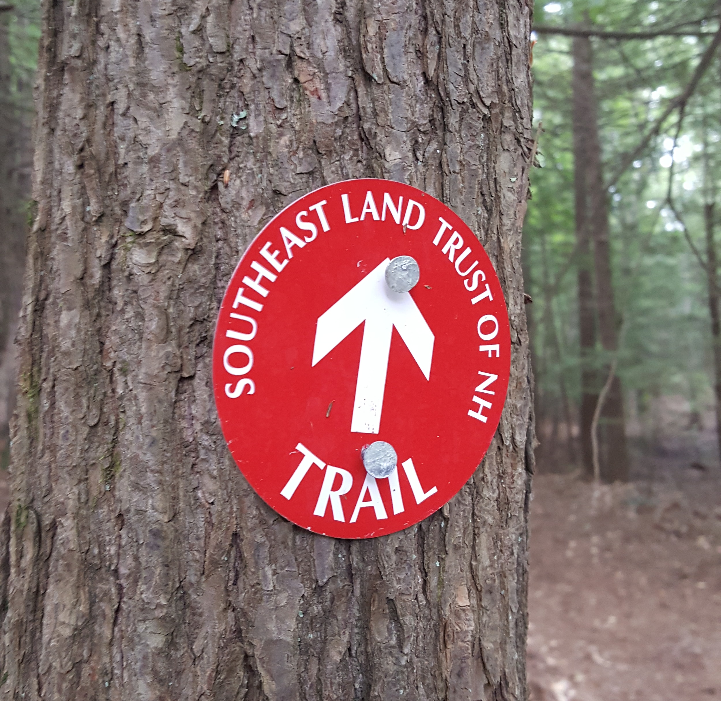 Trail Sign